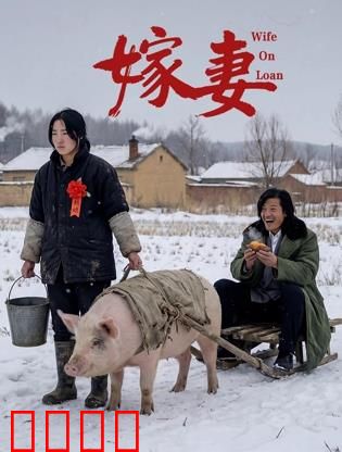 嫁妻：妻子的反击