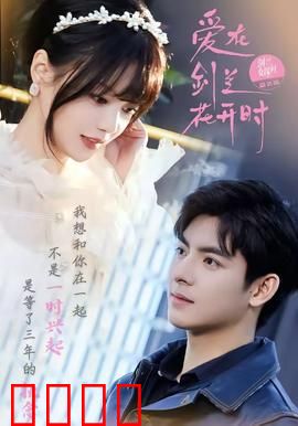 爱在剑兰花开时：花语缠绵