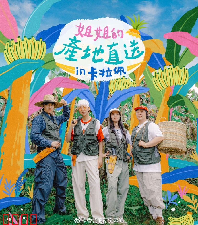 姐姐家的产地直送3：甜蜜重逢