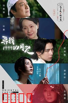 寻找1999的月老：穿越时空的姻缘