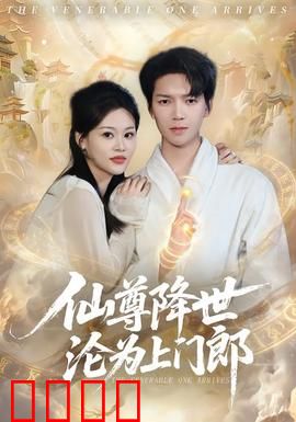 仙尊降世沦为上门郎：低调大佬的逆袭