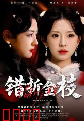 错折金枝：公主与平民的禁忌之恋