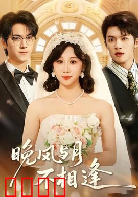 晚风与月不相逢：错位时光