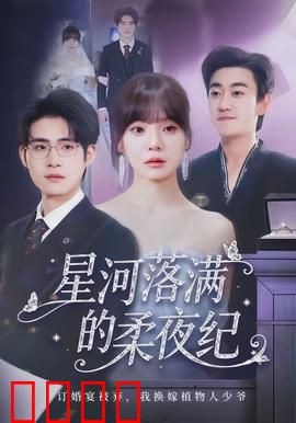 星河落满的柔夜纪：星辰之约