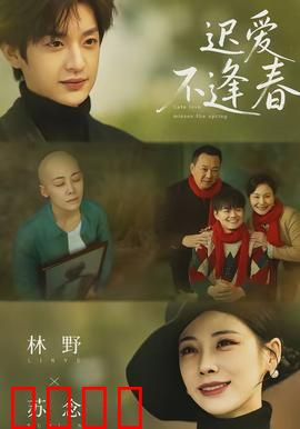 迟爱不逢春：错过一生的爱恋