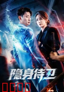 隐身侍卫：暗影护主