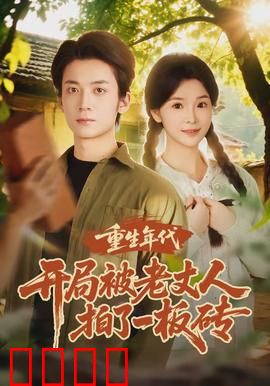 重生年代开局被老丈人拍了一板砖：逆袭人生