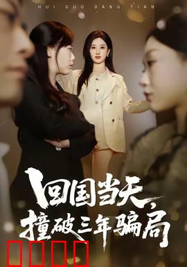 回国当天，撞破三年骗局：惊天内幕