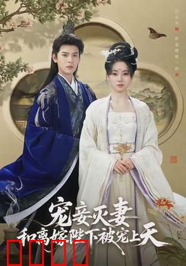 宠妾灭妻，和离嫁陛下被宠上天：逆袭成后宠冠六宫