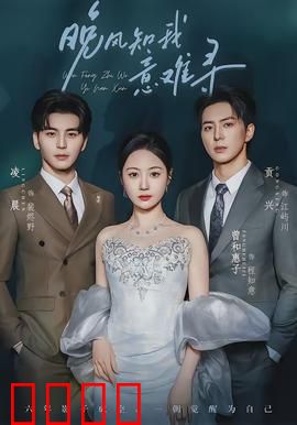 晚风知我意难寻：错过的温柔