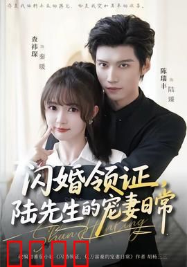 闪婚领证，陆先生的宠妻日常：甜宠爆表