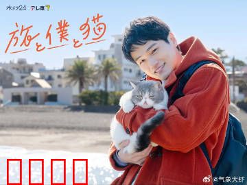 旅行和我和猫：治愈小日常