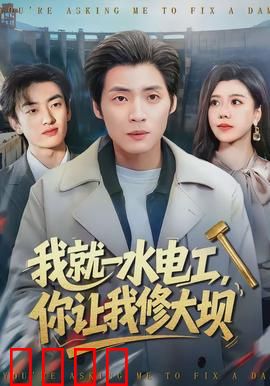 我就一水电工，你让我修大坝：逆天改命