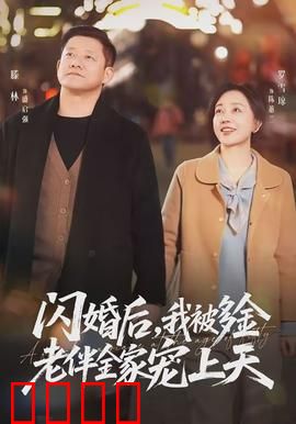 闪婚后，我被多金老伴全家宠上天：甜蜜逆袭