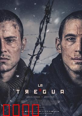 休战：硝烟后的归途