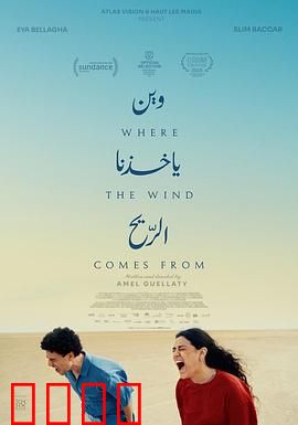 风来之所：风之子的归途