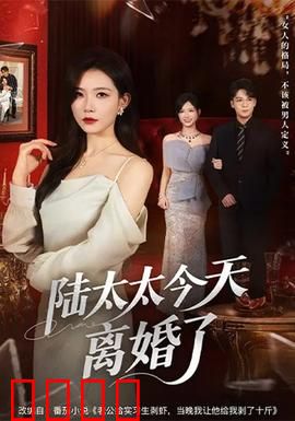 陆太太今天离婚了：霸气逆袭