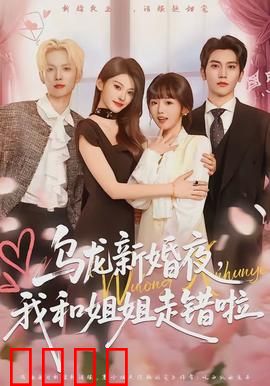 乌龙新婚夜，我和姐姐走错啦：爆笑误会喜剧