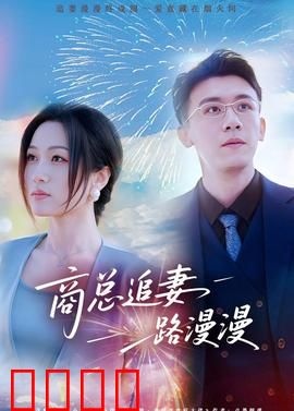 商总追妻路漫漫：虐心火葬场