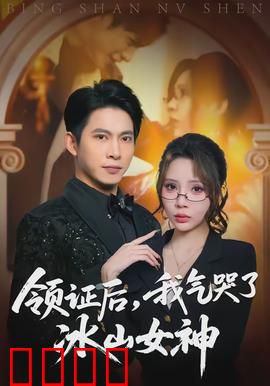 领证后，我气哭了冰山女神：爆笑追妻火葬场