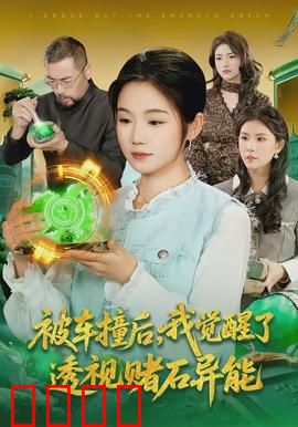 被车撞后，我觉醒了透视赌石异能了：废柴逆袭