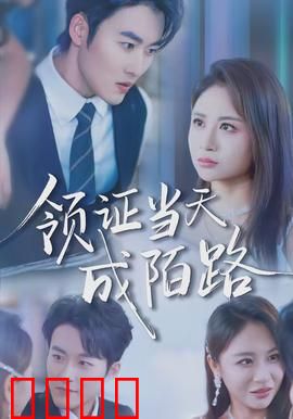 领证当天成陌路：失忆爱侣