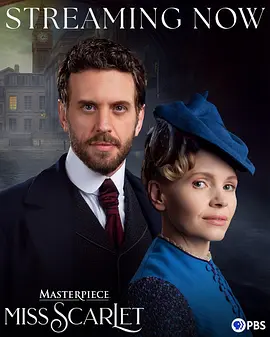 斯嘉丽小姐探案集第六季：终极真相