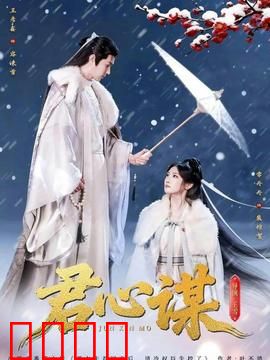 君心谋：权谋爱恨