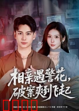 相亲遇警花，破案爽到飞起：甜蜜搭档