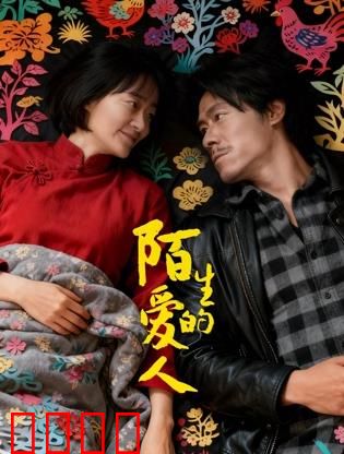 陌生的爱人：失忆后的真假恋人