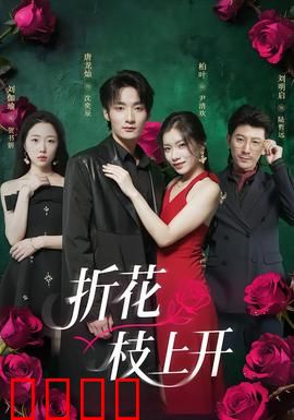 折花枝上开：错付真心终回响