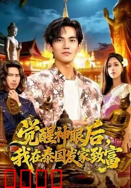 觉醒神眼后，我在泰国发家致富：天眼赌石逆袭