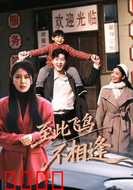 到此飞鸟不相逢：错过的约定