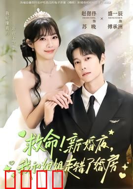 救命！新婚夜，我和姐姐走错了婚房：一夜错情