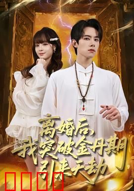 离婚后，我突破金丹期，引来天劫：逆天改命