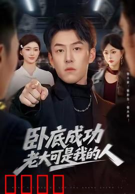 卧底成功老大可是我的人：致命潜伏