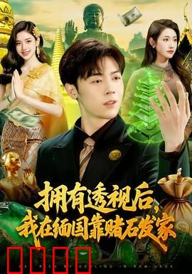 拥有透视后，我在缅国靠赌石发家：透视赌石无敌