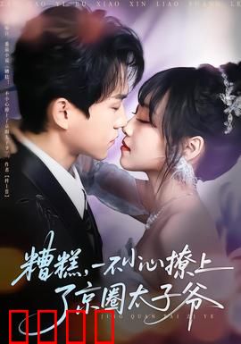 糟糕，一不小心撩上了京圈太子爷：豪门宠妻