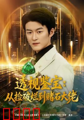 透视鉴宝：慧眼识真