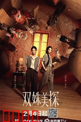 双姝美探：绝色搭档破奇案