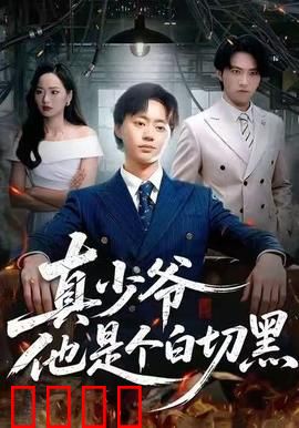 真少爷他是个白切黑：复仇归来