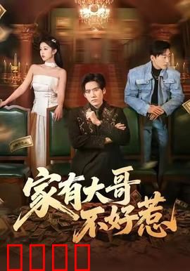 《大哥归来：重出江湖护家人》