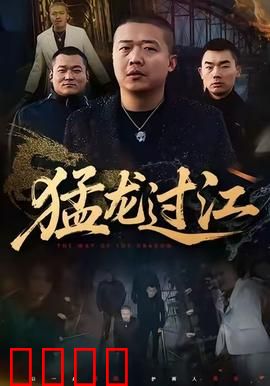 猛龙过江：中华武魂