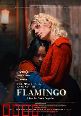 弗拉明戈的神秘眼神：舞动宿命