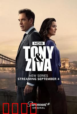 海军罪案调查处：精英团队揭秘