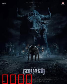 野牛：草原霸主