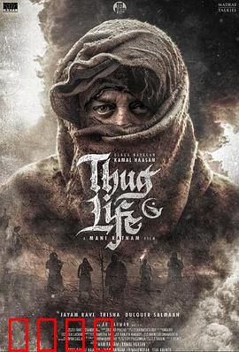 镇上的新暴徒：正义独行