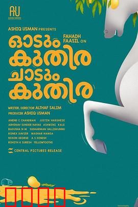 一匹马奔跑，一匹马跳跃：自由与羁绊