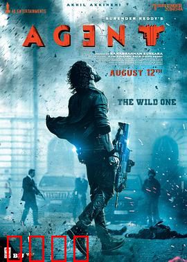 野蛮特工：暴力救赎