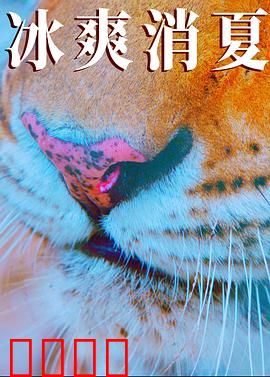 寒冰白血：绝境救援